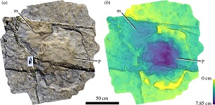 Photogrammetric image and depth map of sauropod footprint